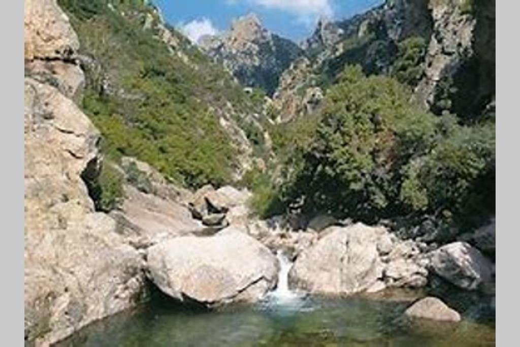 Appartamento Gare-capitole Narbona Esterno foto
